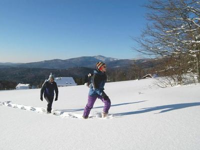 Waldhäuser im Winter