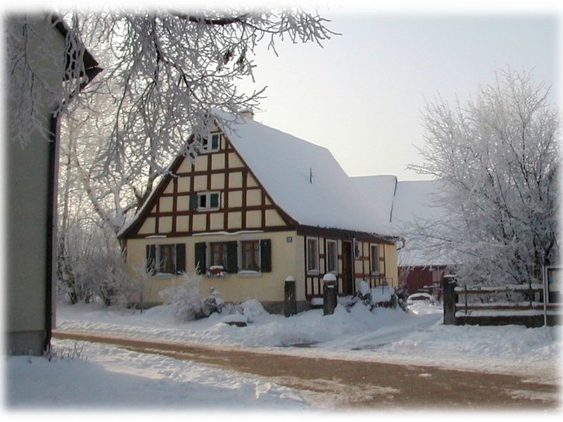 22494439-Ferienhaus-3-Neusitz-800x600-2