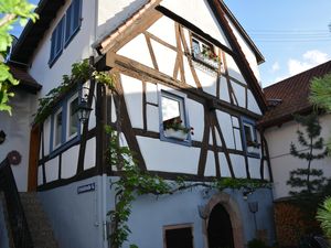 24013099-Ferienhaus-4-Neustadt an der Weinstraße-300x225-0