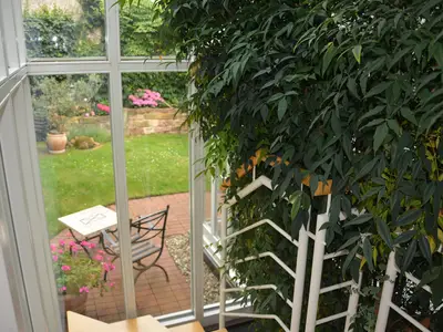 Blick in den Garten