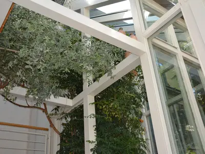 Wintergarten