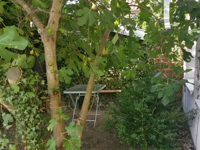 Ferienhaus für 9 Personen (146 m²) in Neustadt In Holstein 4/10