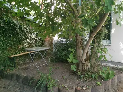 Ferienhaus für 9 Personen (146 m²) in Neustadt In Holstein 5/10