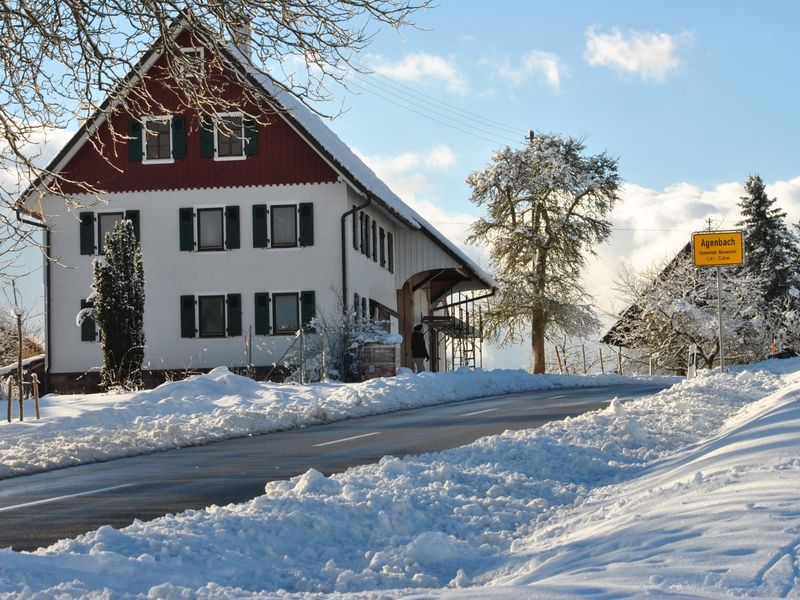 22480107-Ferienhaus-7-Neuweiler-800x600-1