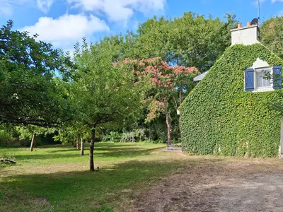 outside