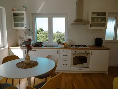 Ferienhaus für 4 Personen in Neviđane 8/10