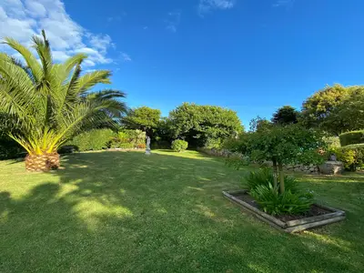 GardenSummer