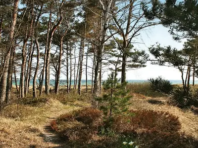 WaterView