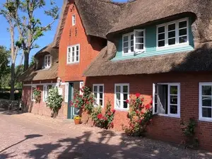 Ferienhaus für 4 Personen (80 m²) in Nieblum