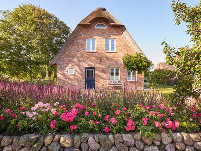 Ferienhaus für 6 Personen (190 m²) in Nieblum 2/10