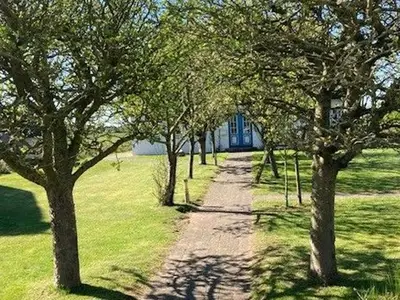 Ferienhaus für 5 Personen (80 m²) in Nieblum 1/10
