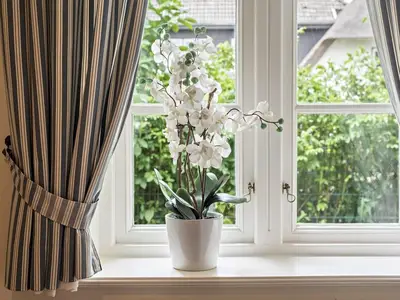 Ferienhaus für 5 Personen (80 m²) in Nieblum 10/10