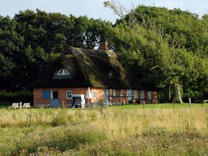 Ferienhaus für 10 Personen (150 m²) in Nieby