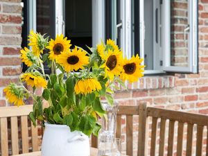 Gartenblick