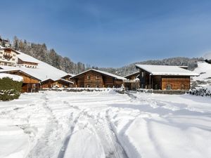 23954379-Ferienhaus-14-Niederau (Kufstein)-300x225-0