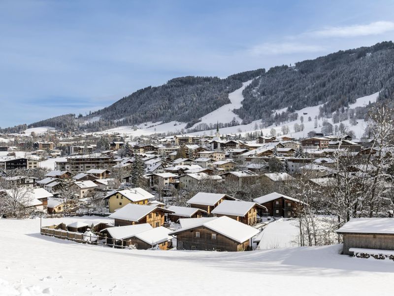 23954381-Ferienhaus-5-Niederau (Kufstein)-800x600-1