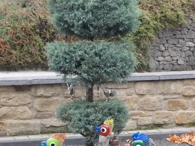 Außenbereich Hof Art Apart