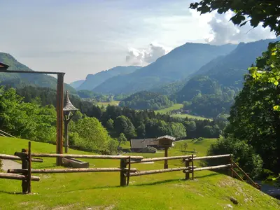 ViewSummer