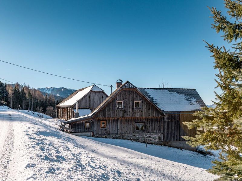 22401919-Ferienhaus-10-Niederöblarn-800x600-2