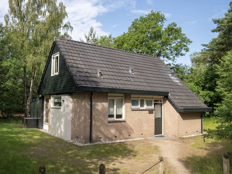 23189981-Ferienhaus-6-Nieuw Milligen-800x600-1