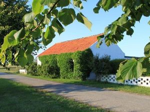 Ferienhaus für 7 Personen (100 m&sup2;) in Nieuwvliet