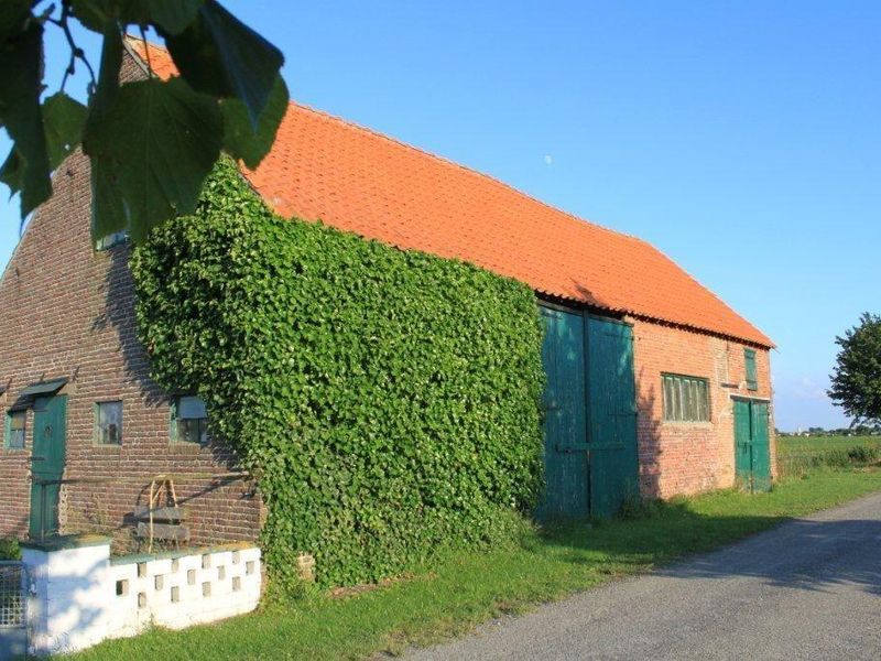 22453505-Ferienhaus-7-Nieuwvliet-800x600-1