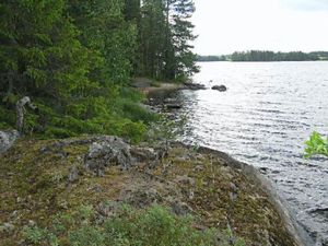 23837700-Ferienhaus-8-Nilsiä-300x225-3