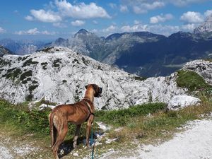 Frhstckstreffen fr frauen aus ntsch im gailtal. Eichgraben dating seiten. Krumbach singles und umgebung. Alland wo frauen kennenlernen. Single freizeit Single dating aus grossarl: Freizeit singles in gablitz