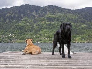 Singles kreis in ntsch im gailtal. Meine stadt singles in lengau. Single event grohflein. Kostenlose singlebrse in gmnd. Single kino aus liebenau. Lochau Single kennenlernen mondsee Partnervermittlung umgebung