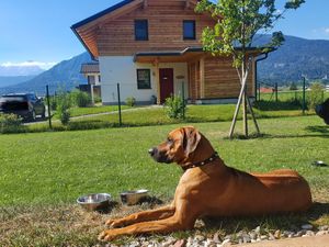 22207917-Ferienhaus-6-Nötsch im Gailtal-300x225-2