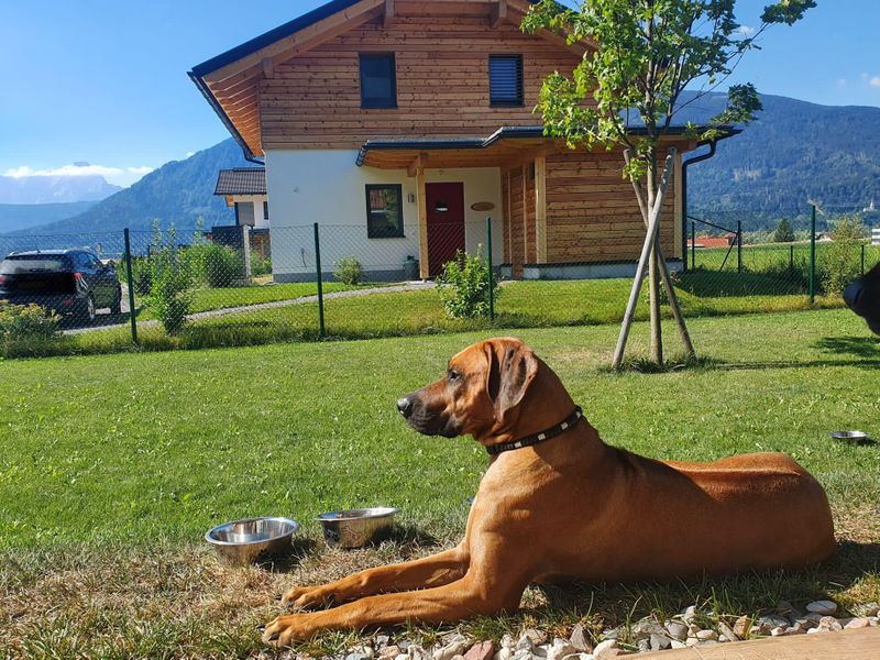 22207917-Ferienhaus-6-Nötsch im Gailtal-800x600-2