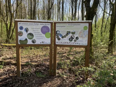 Schutzgebiet Bostalsee