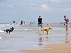 23843655-Ferienhaus-6-Noordwijk aan Zee-300x225-1