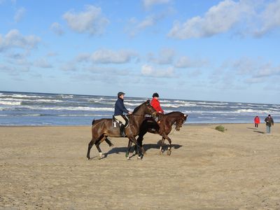 Reiten am Langevelderslag