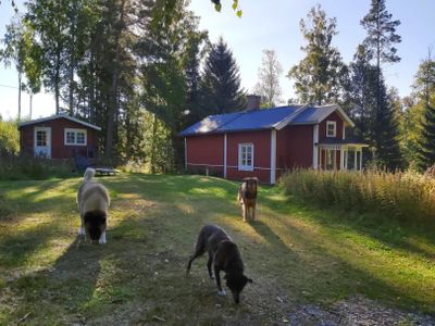 Ferienhaus für 4 Personen (60 m²) in Nora 3/10