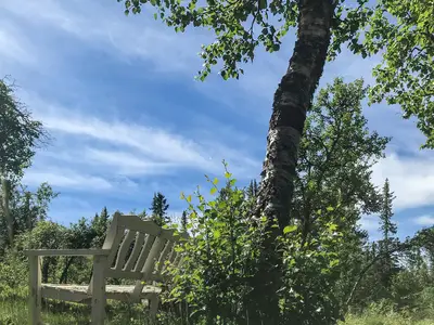 outside