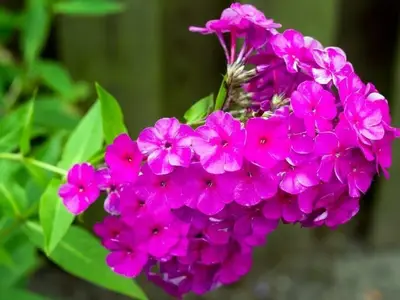 Ferienhaus für 6 Personen (96 m²) in Norden 4/10