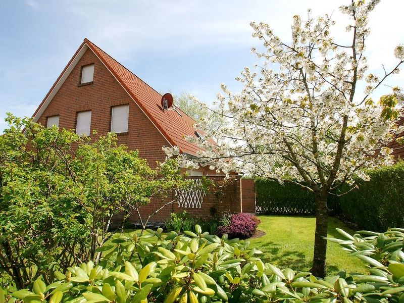 23968235-Ferienhaus-6-Norden Norddeich-800x600-0