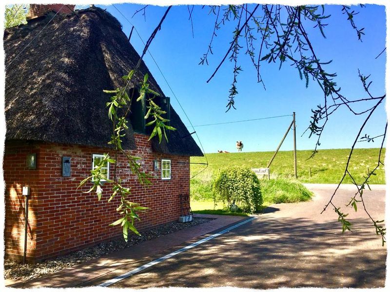 22298153-Ferienhaus-4-Norderfriedrichskoog-800x600-1