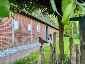 22423059-Ferienhaus-6-Norderfriedrichskoog-300x225-3