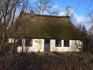 19102057-Ferienhaus-6-Nordermeldorf-300x225-4