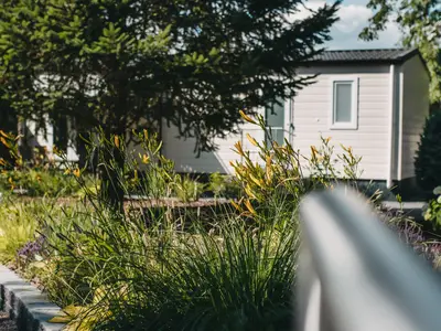 Ferienhaus für 4 Personen (40 m²) in Nordhausen 2/10