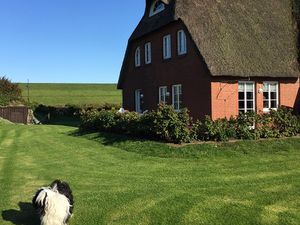 Ferienhaus für 6 Personen (90 m²) in Nordstrand