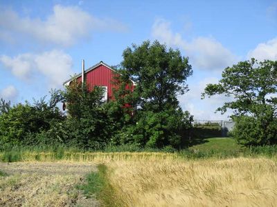 Ferienhaus für 4 Personen (60 m²) in Nordstrand 6/10