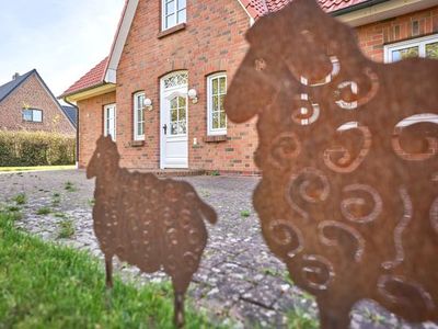 Ferienhaus für 6 Personen (160 m²) in Nordstrand 3/10