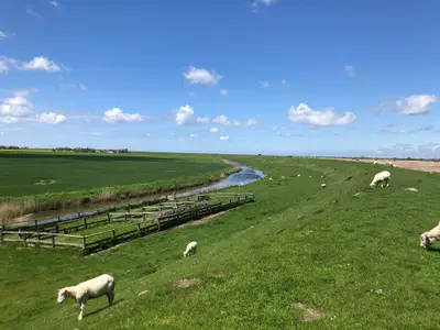 Ferienhaus für 5 Personen (150 m²) in Nordstrand 5/10