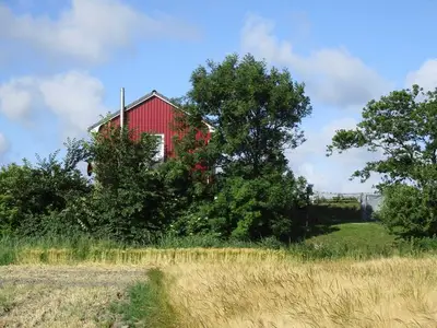 Ferienhaus für 4 Personen (60 m²) in Nordstrand 6/10