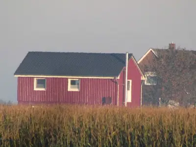Ferienhaus für 4 Personen (60 m²) in Nordstrand 9/10