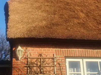 Ferienhaus für 5 Personen (90 m²) in Nordstrand 2/10