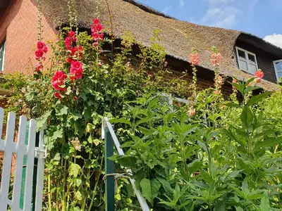 Ferienhaus für 5 Personen (90 m²) in Nordstrand 4/10